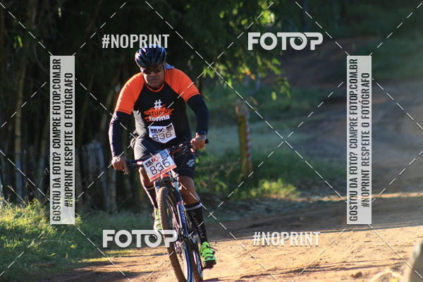 Buy your photos of the eventWolf Series - Botucatu on Fotop