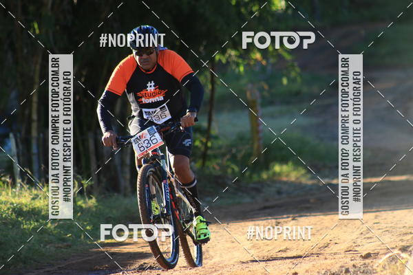 Buy your photos of the eventWolf Series - Botucatu on Fotop