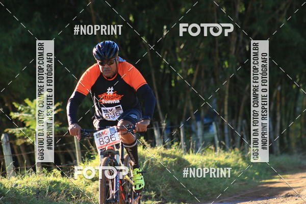 Buy your photos of the eventWolf Series - Botucatu on Fotop