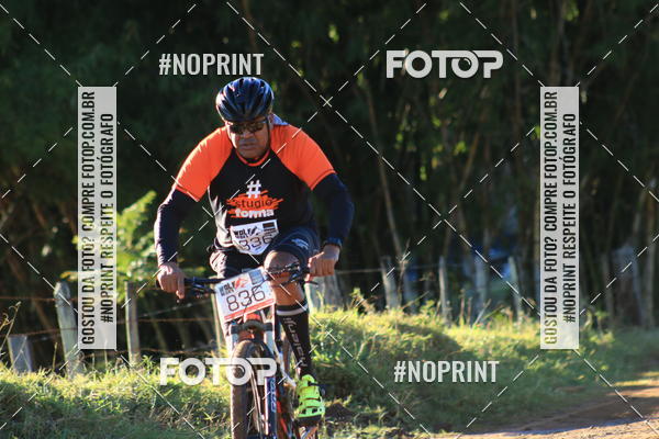 Buy your photos of the eventWolf Series - Botucatu on Fotop