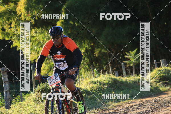 Buy your photos of the eventWolf Series - Botucatu on Fotop