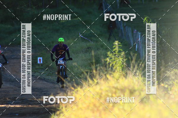 Buy your photos of the eventWolf Series - Botucatu on Fotop