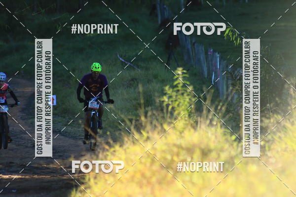 Buy your photos of the eventWolf Series - Botucatu on Fotop