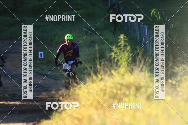 Achetez vos photos de l'vnementWolf Series - Botucatu sur Fotop