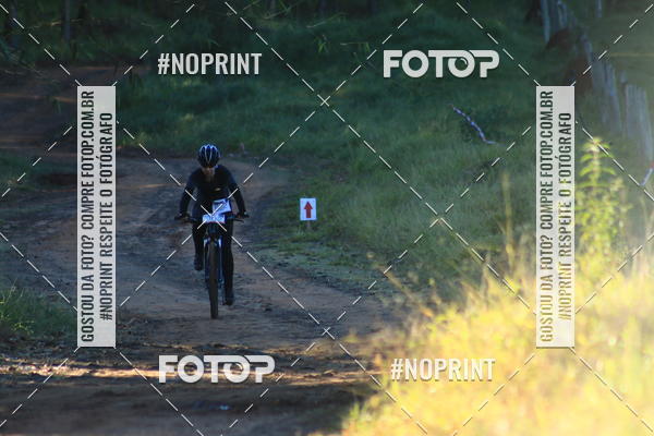 Buy your photos of the eventWolf Series - Botucatu on Fotop