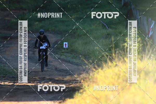 Buy your photos of the eventWolf Series - Botucatu on Fotop