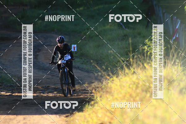 Buy your photos of the eventWolf Series - Botucatu on Fotop