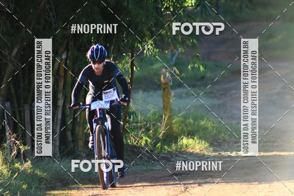 Buy your photos of the eventWolf Series - Botucatu on Fotop