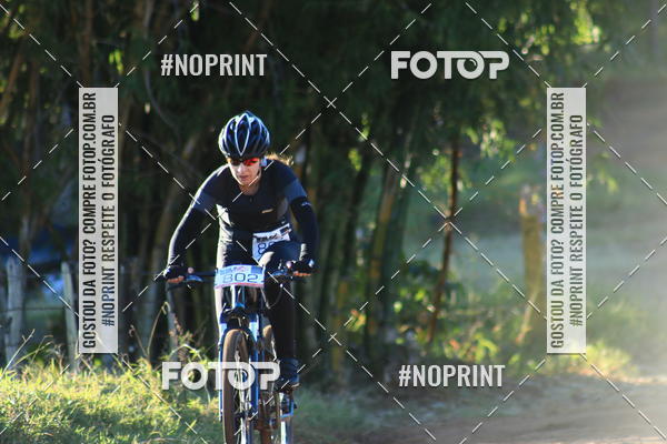 Buy your photos of the eventWolf Series - Botucatu on Fotop