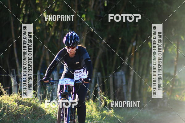 Buy your photos of the eventWolf Series - Botucatu on Fotop