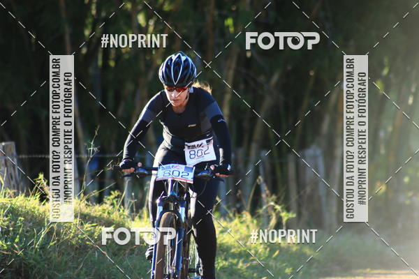 Buy your photos of the eventWolf Series - Botucatu on Fotop