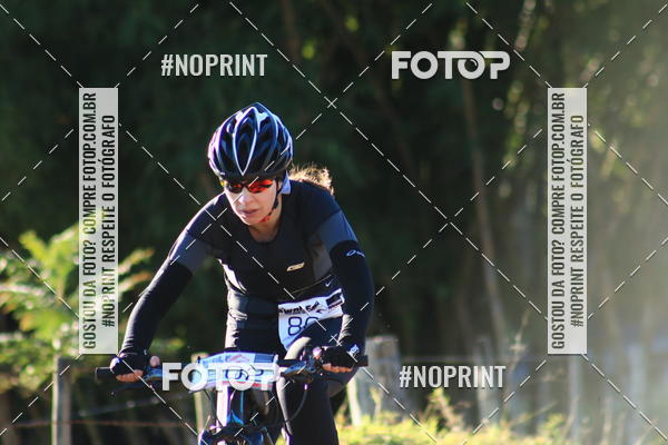 Buy your photos of the eventWolf Series - Botucatu on Fotop