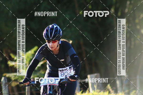 Buy your photos of the eventWolf Series - Botucatu on Fotop