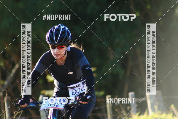 Buy your photos of the eventWolf Series - Botucatu on Fotop