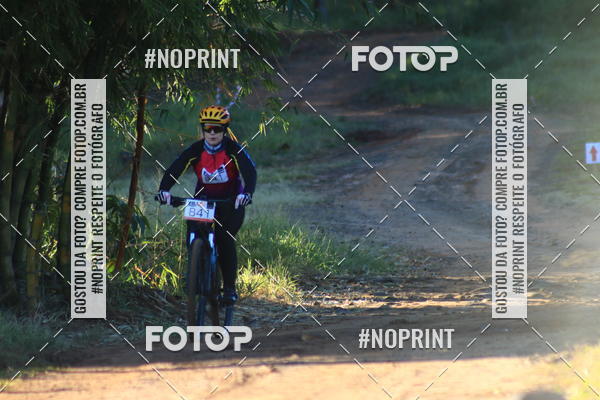 Buy your photos of the eventWolf Series - Botucatu on Fotop