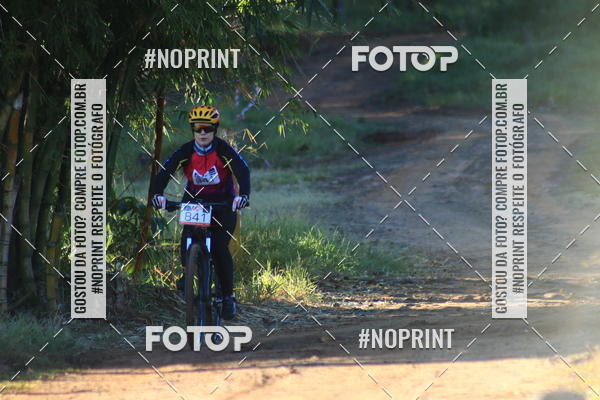 Buy your photos of the eventWolf Series - Botucatu on Fotop