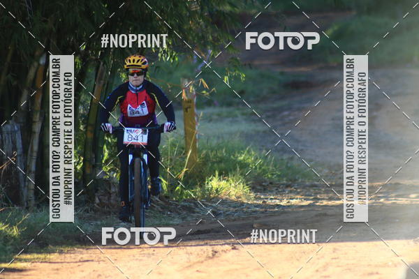 Buy your photos of the eventWolf Series - Botucatu on Fotop