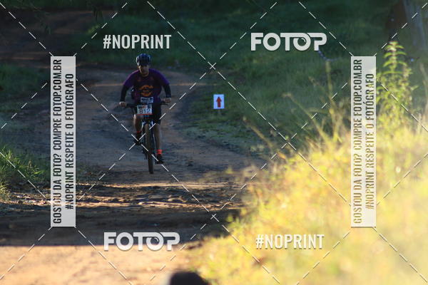 Buy your photos of the eventWolf Series - Botucatu on Fotop