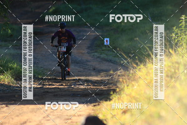 Buy your photos of the eventWolf Series - Botucatu on Fotop