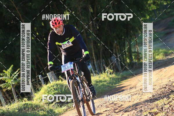 Buy your photos of the eventWolf Series - Botucatu on Fotop