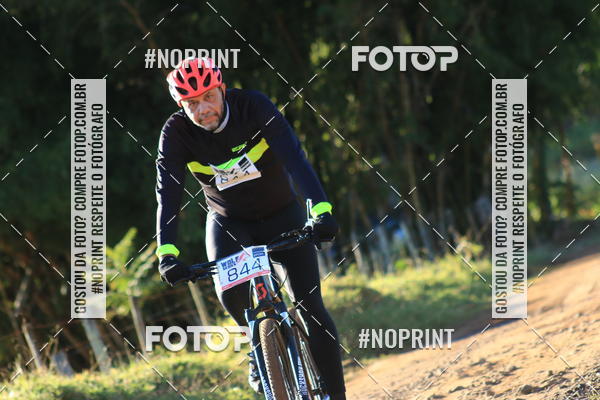 Buy your photos of the eventWolf Series - Botucatu on Fotop