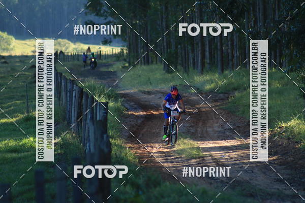 Buy your photos of the eventWolf Series - Botucatu on Fotop