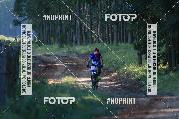 Buy your photos of the eventWolf Series - Botucatu on Fotop