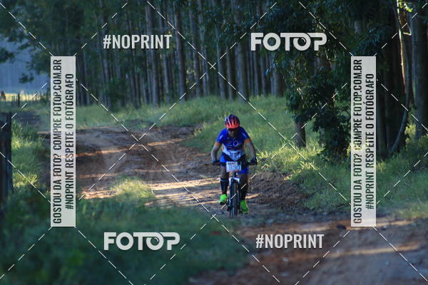 Buy your photos of the eventWolf Series - Botucatu on Fotop