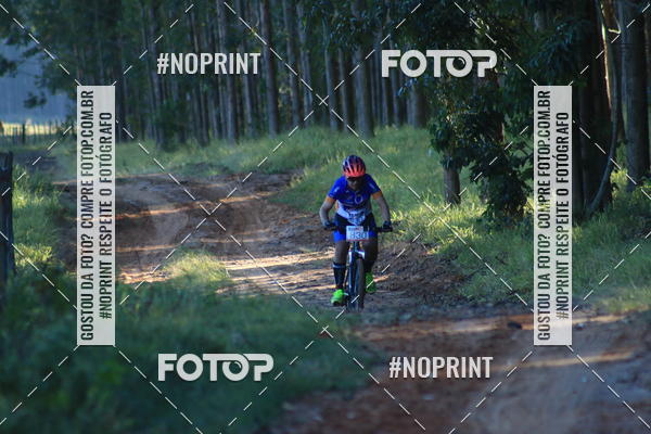 Buy your photos of the eventWolf Series - Botucatu on Fotop