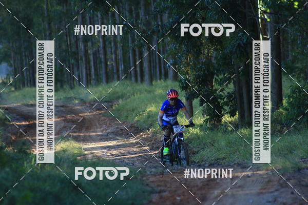 Buy your photos of the eventWolf Series - Botucatu on Fotop