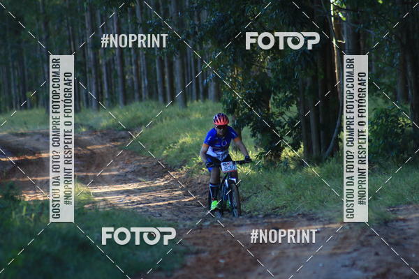 Buy your photos of the eventWolf Series - Botucatu on Fotop