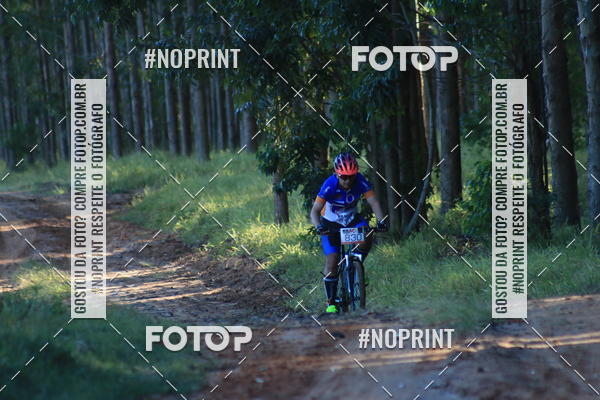 Buy your photos of the eventWolf Series - Botucatu on Fotop