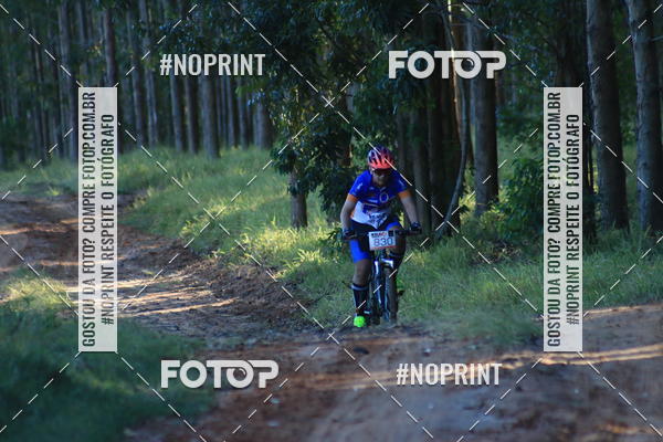 Buy your photos of the eventWolf Series - Botucatu on Fotop