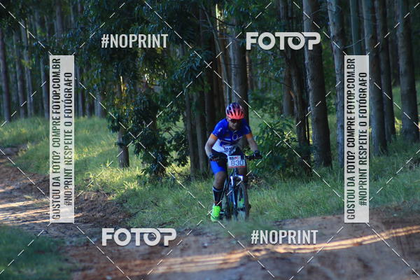 Buy your photos of the eventWolf Series - Botucatu on Fotop