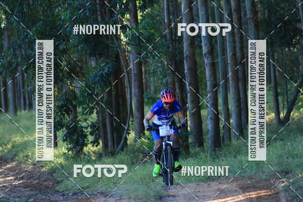 Buy your photos of the eventWolf Series - Botucatu on Fotop