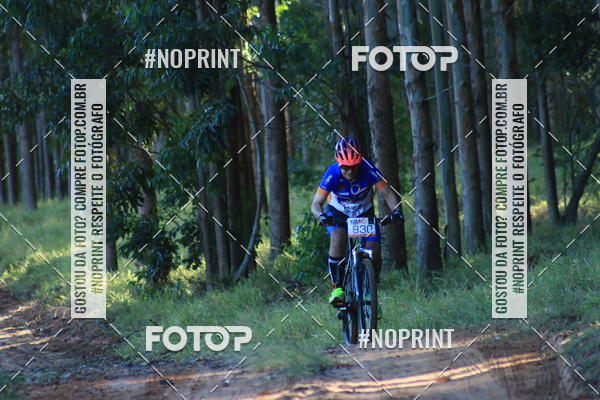 Buy your photos of the eventWolf Series - Botucatu on Fotop