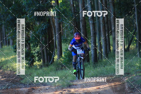 Buy your photos of the eventWolf Series - Botucatu on Fotop