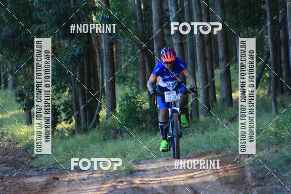 Buy your photos of the eventWolf Series - Botucatu on Fotop