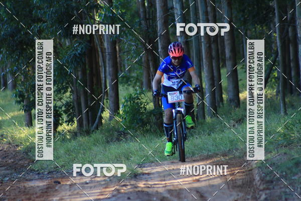 Buy your photos of the eventWolf Series - Botucatu on Fotop