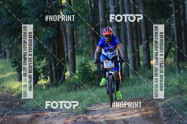 Buy your photos of the eventWolf Series - Botucatu on Fotop