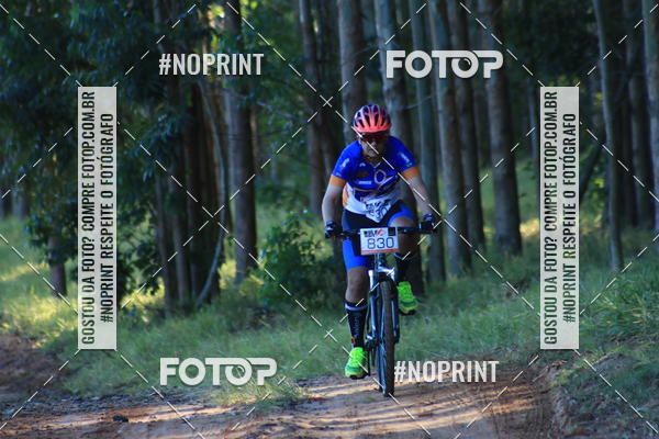 Buy your photos of the eventWolf Series - Botucatu on Fotop