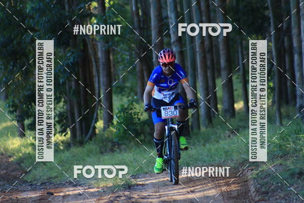 Buy your photos of the eventWolf Series - Botucatu on Fotop