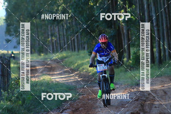 Buy your photos of the eventWolf Series - Botucatu on Fotop