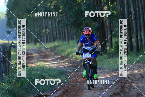 Buy your photos of the eventWolf Series - Botucatu on Fotop