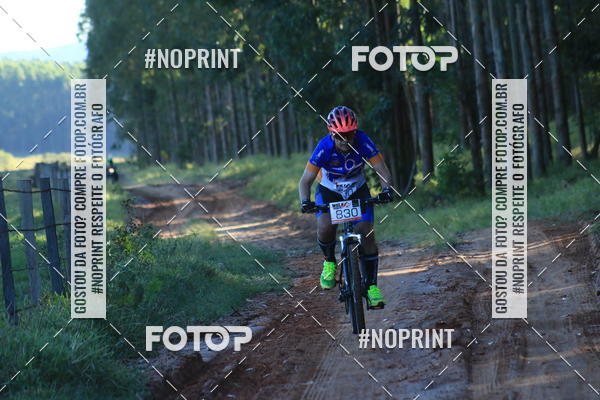 Buy your photos of the eventWolf Series - Botucatu on Fotop