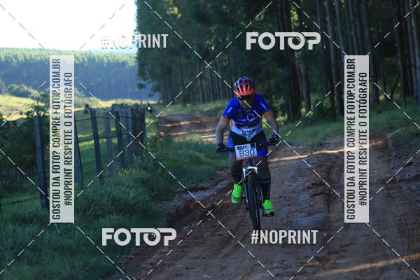 Buy your photos of the eventWolf Series - Botucatu on Fotop