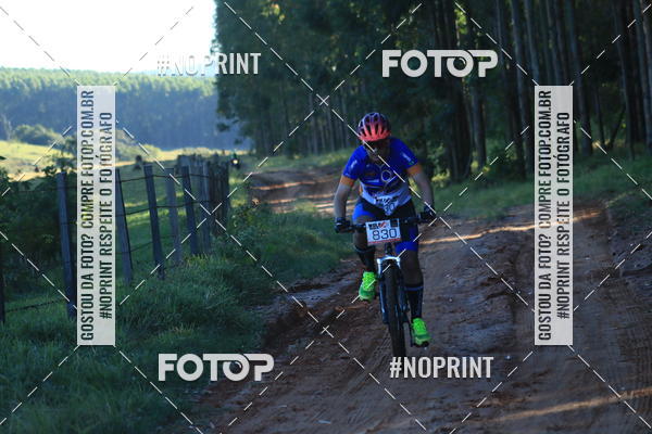 Buy your photos of the eventWolf Series - Botucatu on Fotop