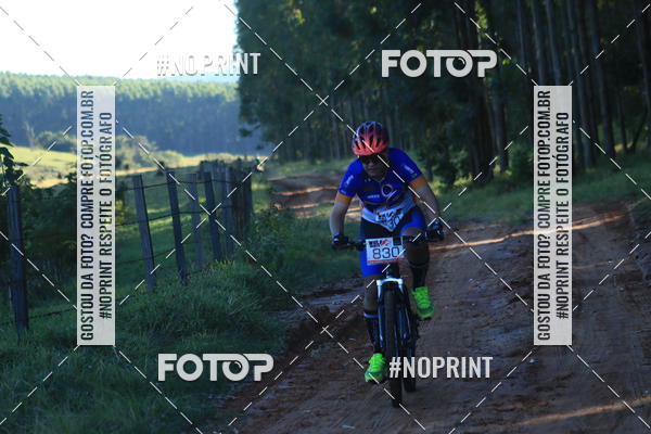 Buy your photos of the eventWolf Series - Botucatu on Fotop