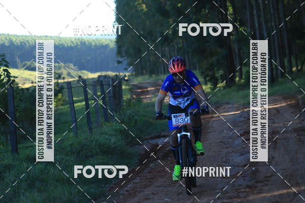 Buy your photos of the eventWolf Series - Botucatu on Fotop