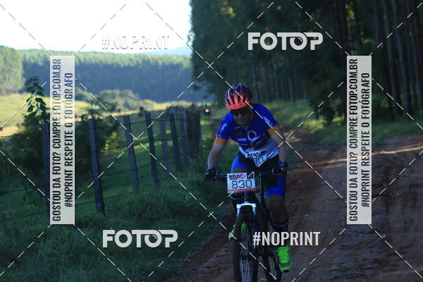 Buy your photos of the eventWolf Series - Botucatu on Fotop